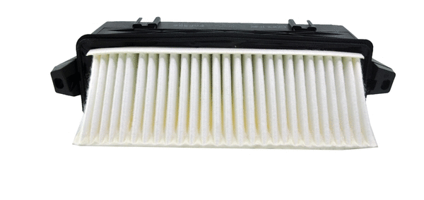 Air Filter (EAF956)