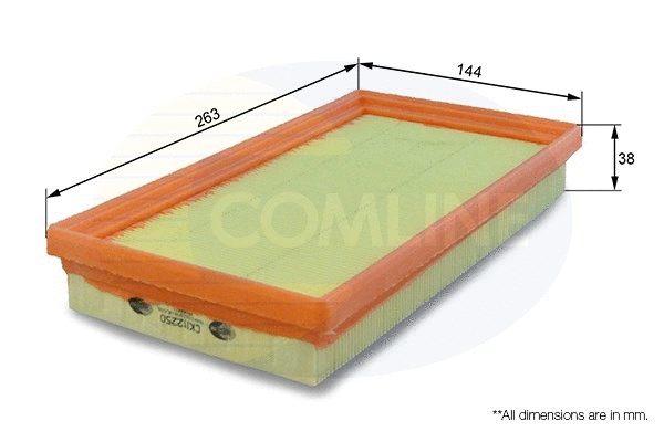 Air Filter (CKI12250)