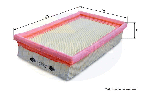 Air Filter (EAF091)