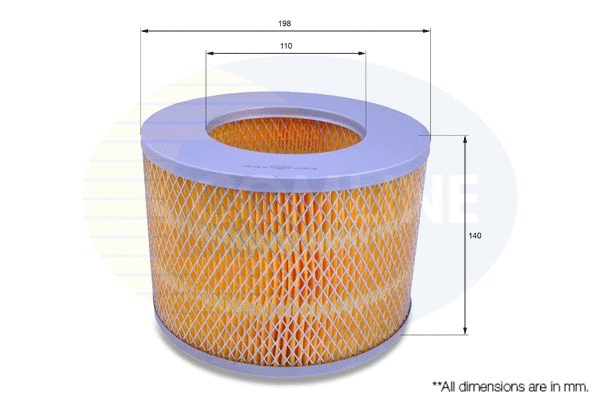 Air Filter (CTY12149)
