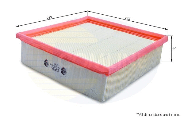 Air Filter (EAF095)