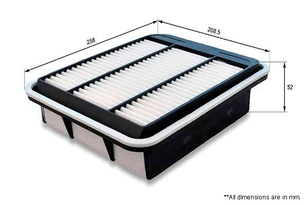 Air Filter (EAF791)