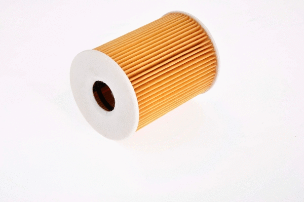 Oil Filter (EOF207)