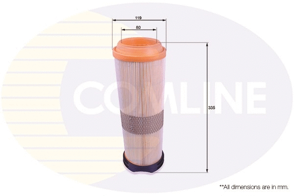 Air Filter (EAF579)
