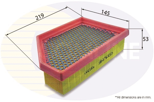 Air Filter (EAF941)
