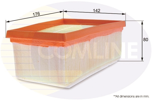 Air Filter (EAF107)