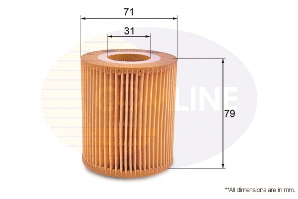 Oil Filter (EOF169)