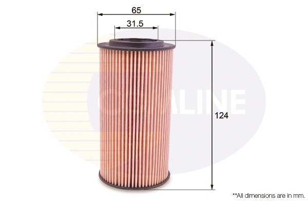 Oil Filter (EOF173)