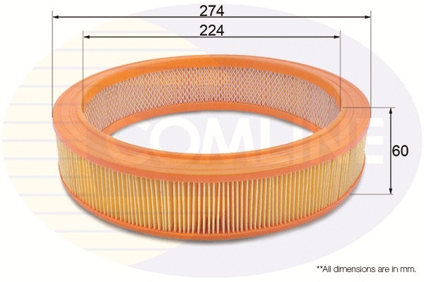 Air Filter (EAF013)