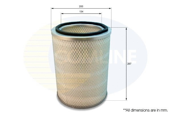Air Filter (CIZ12576)