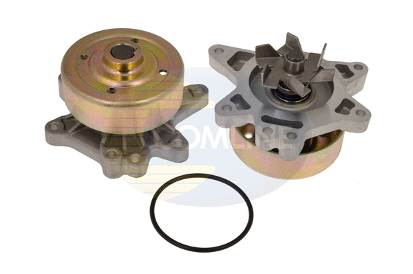 Water Pump, engine cooling (CTY21045)