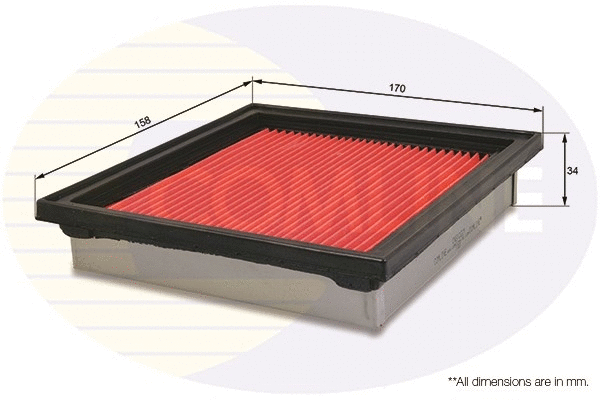 Air Filter (CNS12221)