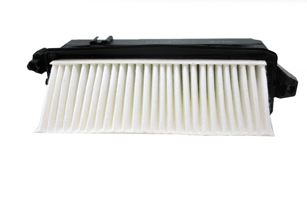 Air Filter (EAF955)