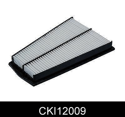 Air Filter (CKI12009)