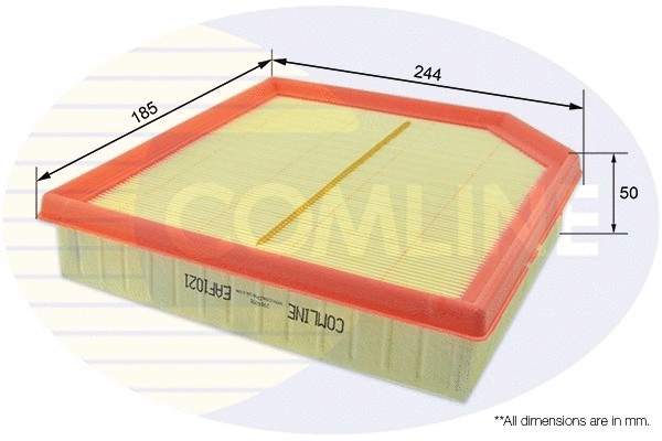 Air Filter (EAF1021)
