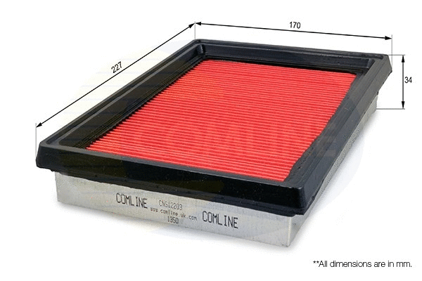 Air Filter (CNS12203)