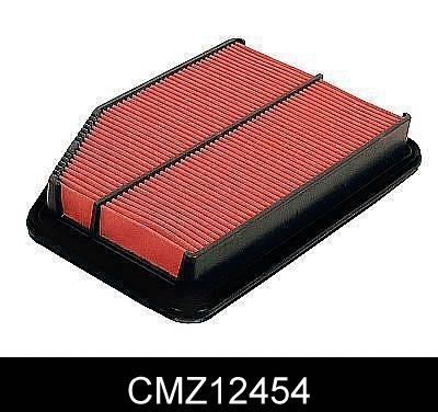 Air Filter (CMZ12454)