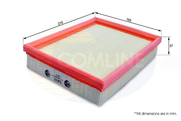 Air Filter (EAF011)