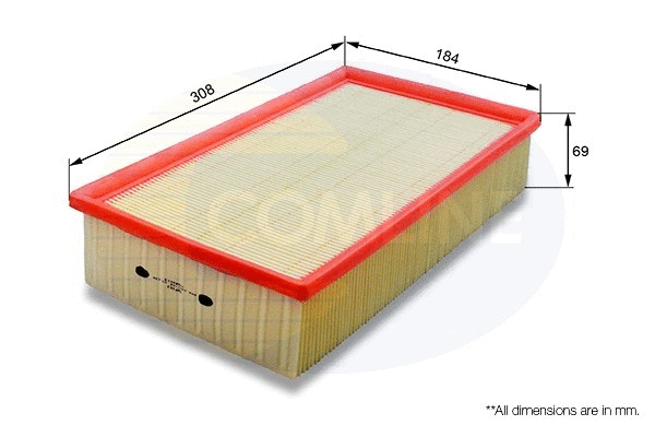 Air Filter (EAF262)