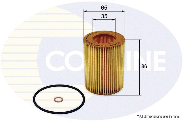 Oil Filter (CHY11005)
