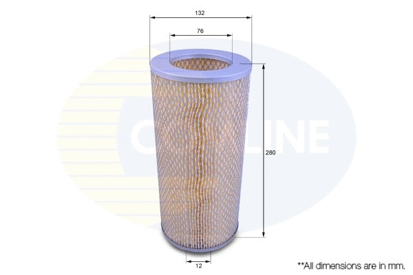 Air Filter (CTY12170)
