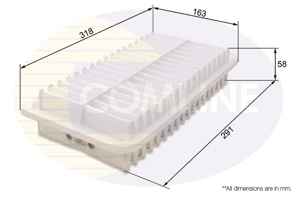 Air Filter (CTY12250)