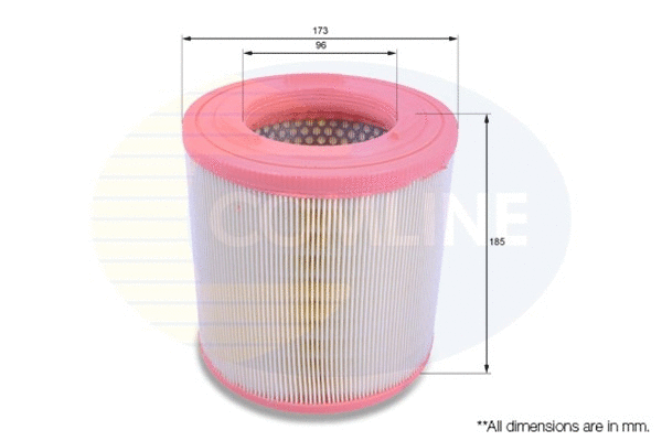 Air Filter (CNS12308)