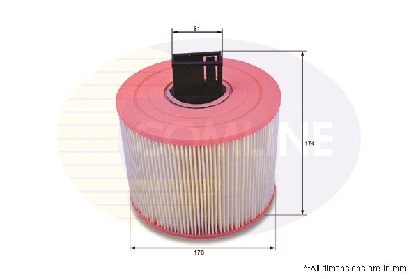 Air Filter (EAF619)