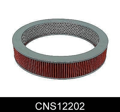 Air Filter (CNS12202)