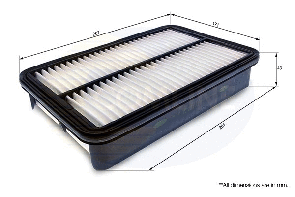 Air Filter (CTY12177)