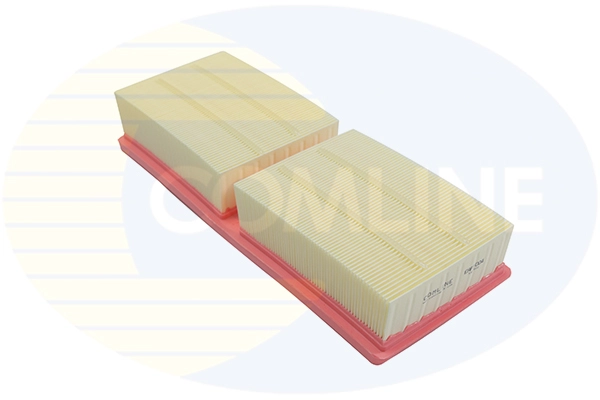 Air Filter (EAF1004)