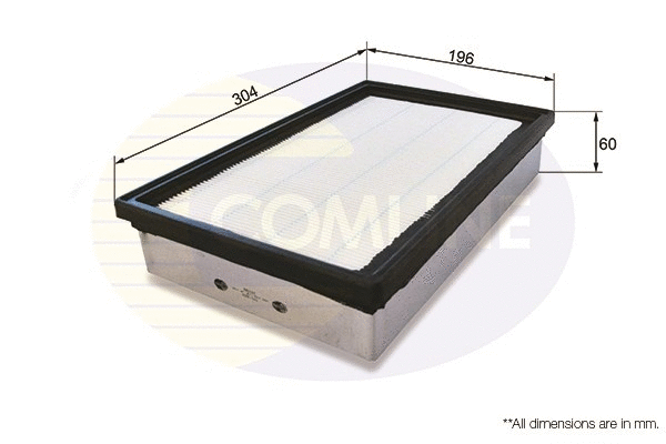 Air Filter (CKI12002)