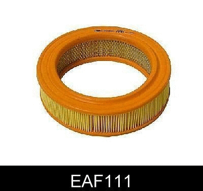 Air Filter (EAF111)