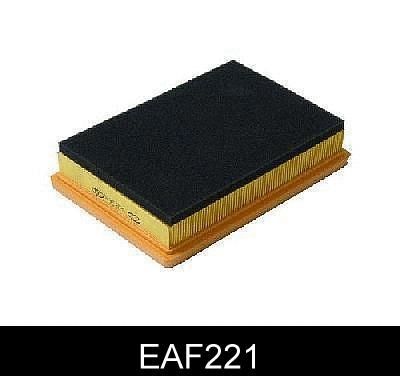 Air Filter (EAF221)