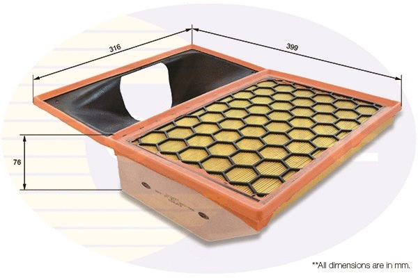 Air Filter (EAF869)