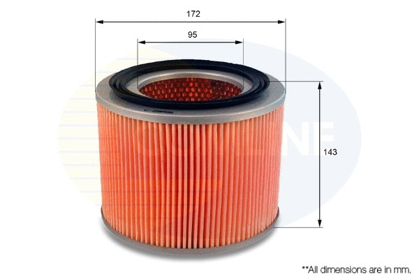 Air Filter (CNS12300)