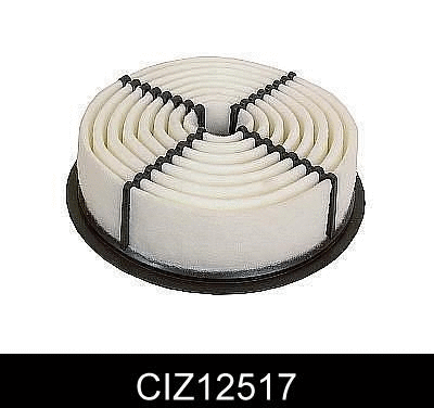 Air Filter (CIZ12517)