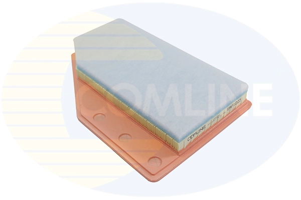 Air Filter (EAF1023)