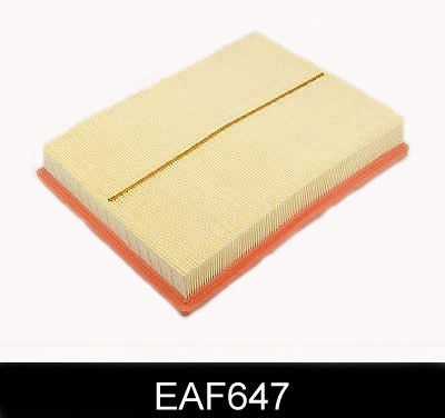 Air Filter (EAF647)