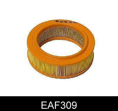Air Filter (EAF309)