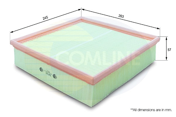 Air Filter (EAF381)