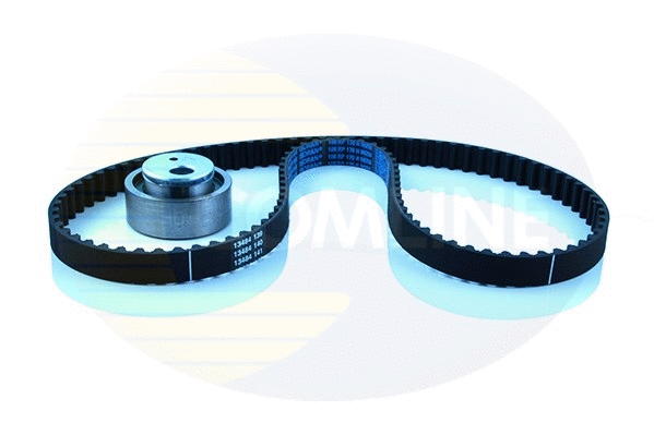 Timing Belt Kit (CTBK025)