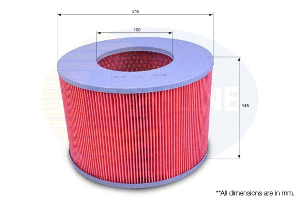 Air Filter (CTY12030)