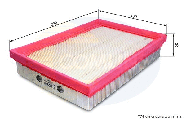 Air Filter (CTY12260)
