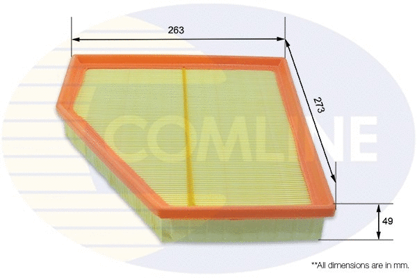 Air Filter (EAF994)
