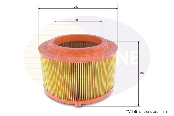 Air Filter (EAF843)