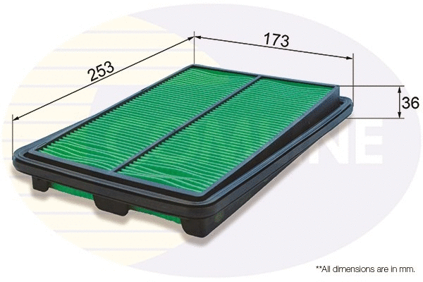 Air Filter (EAF895)