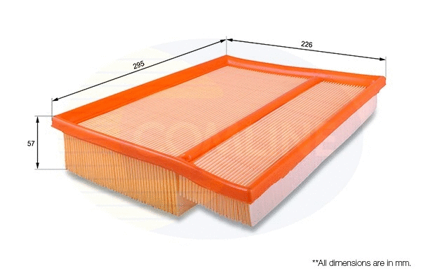 Air Filter (EAF097)