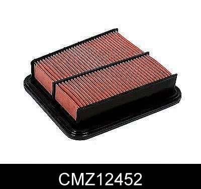 Air Filter (CMZ12452)