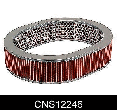 Air Filter (CNS12246)